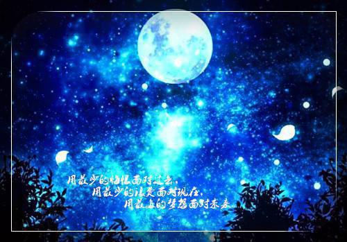 曲子小学国拨经费使用情况自查报告