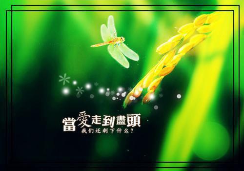 致考察单位感谢信范文