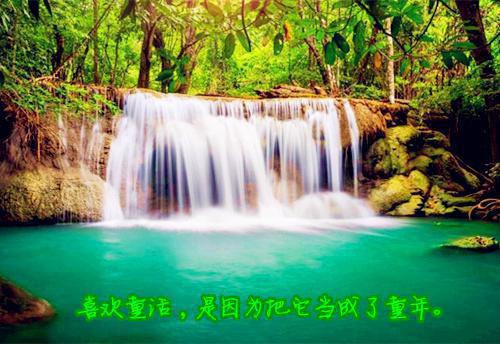 暑假实践报告格式