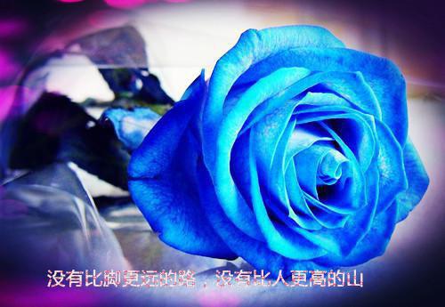 中文探亲邀请函范文3篇
