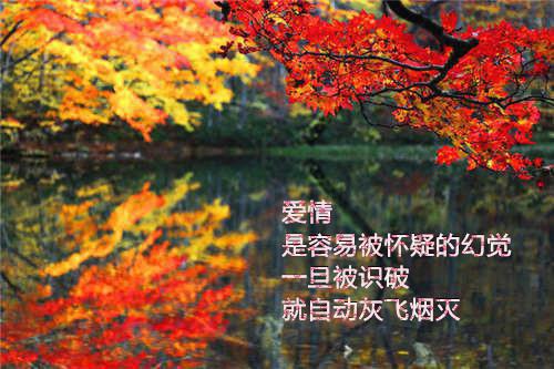 母亲节诗歌——《三首诗歌代表我对母亲的爱》