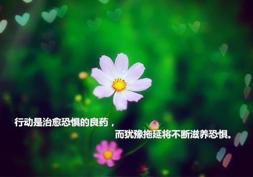 穿书八零，大院来了个邪恶大魔王番外+结局（宋萍安容砚）小说在线阅读