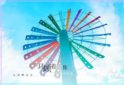 瓜果专业合作社的工作总结