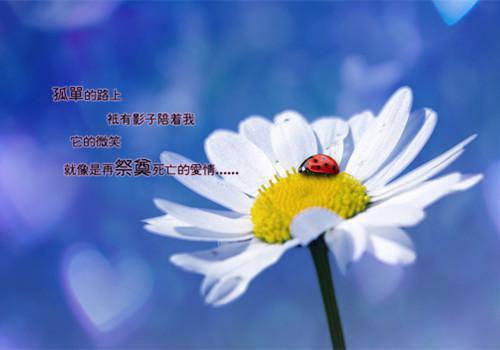 员工工作失误检讨书范本
