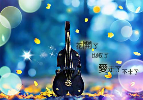 学校资教生阶段性工作报告