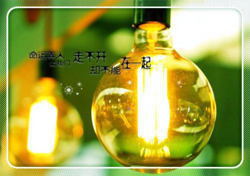 文秘专业求职自荐信