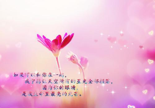 大学生销售求职信范文合集六篇