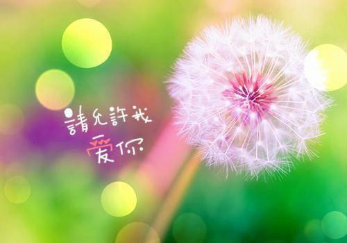 2023年大学志愿者社会实践感悟