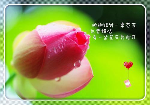 事业单位离职证明范本