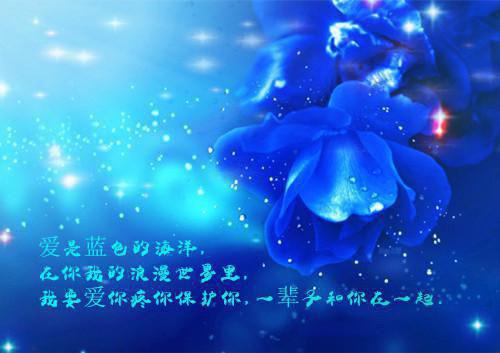 增加农民收入的思考工作报告