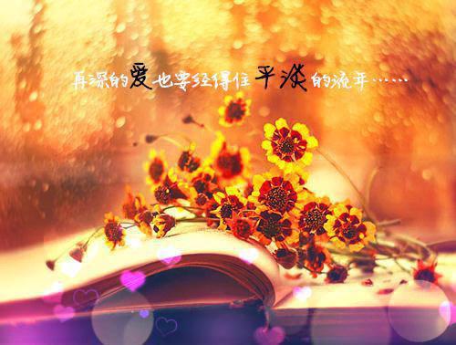 大学学生会招新策划书【三篇】