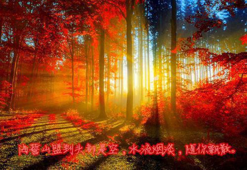 农学专业应届毕业生求职信范文