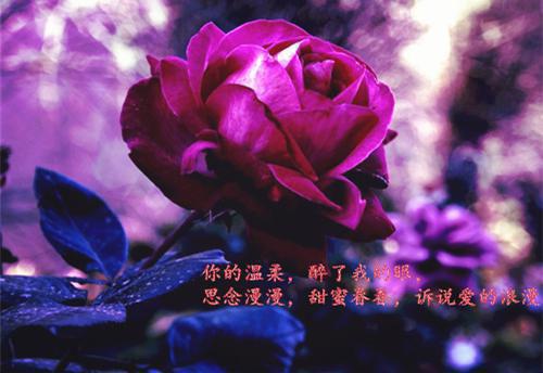 2023年教师节给老师的感谢信