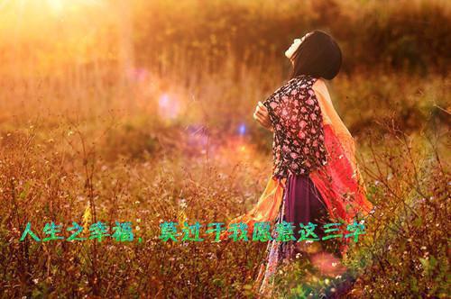 精选关于专业技术工作报告