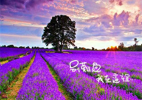 关于六查六看改四风自查报告