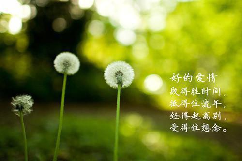 测试工程师工作总结