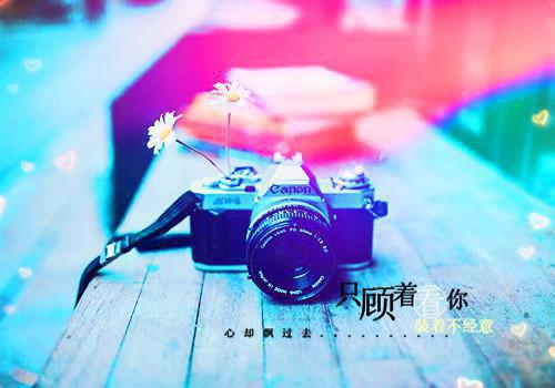 数学系求职信范文集锦5篇