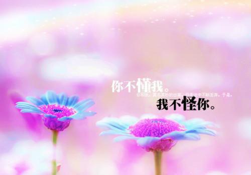 年终工作总结自我评价