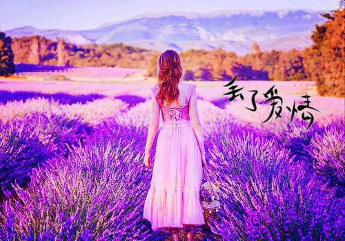 母校30年联谊聚会邀请函