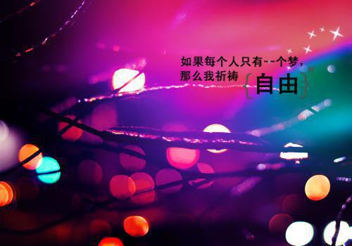 申请费用报告范文3篇