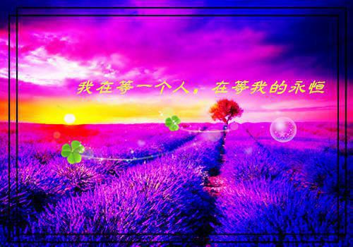 【精选】打架检讨书四篇