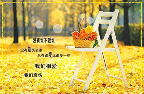 优化道路网体系工作报告