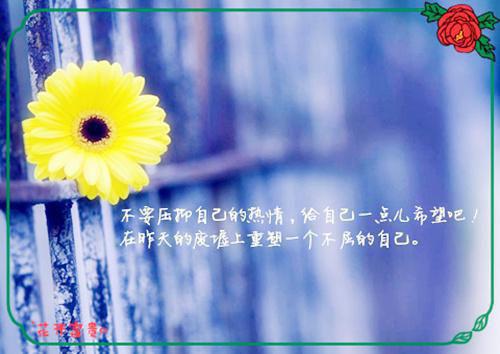 救助感谢信模板集合5篇