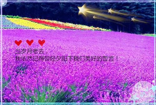 大学支教实践报告