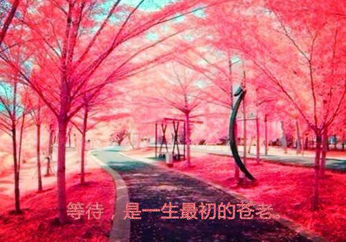 以诚待人的名言警句
