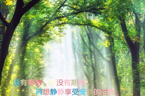 关于文员求职信范文8篇