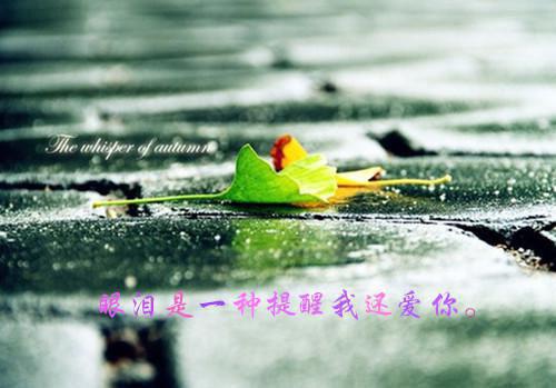 护理实践报告格式