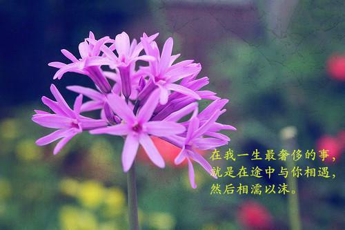 【推荐】毕业生自荐信范文锦集5篇