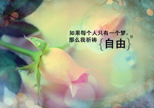竞选学生会自荐信