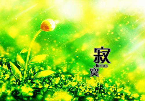 公司的离职报告