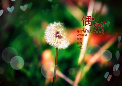 歌颂教师的散文现代诗歌