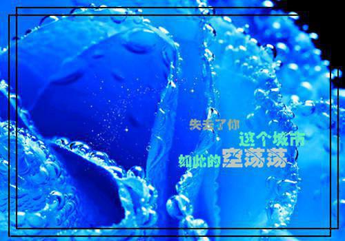 幼师简单个人自荐信