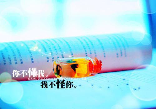 独家离婚后我继承亿万家产：结局+番外评价五颗星 （离婚后我继承亿万家产）TXT免费版阅读