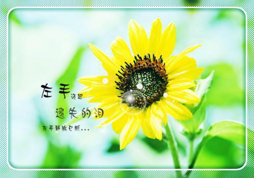 【推荐】个人授权委托书七篇