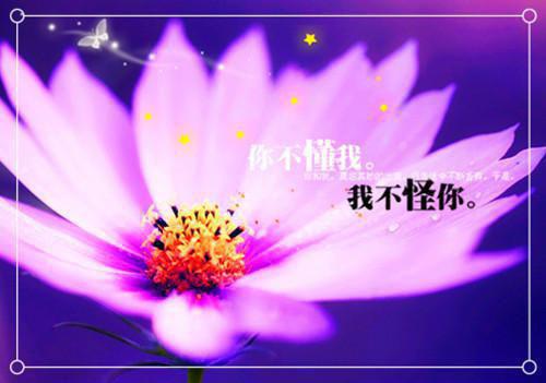 2023最新党委书记抓基层党建工作报告