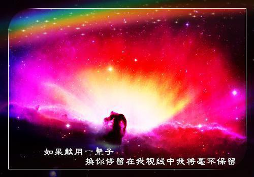 工程质量管理工作自查报告