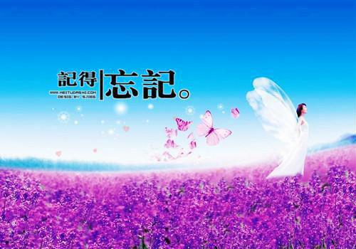 个性简短七夕优美舒心签名 七夕写给男女朋友的情话
