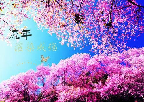 2091年政府工作报告