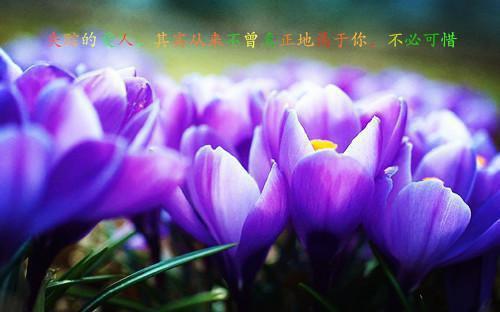 真实名人正能量故事