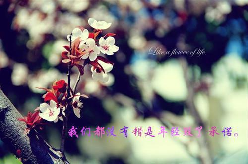 写给捐款人的感谢信相关范文