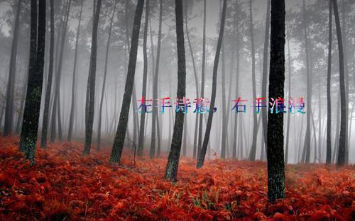 公司个人工作报告范文5篇
