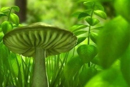 铁路安全承诺的书范文