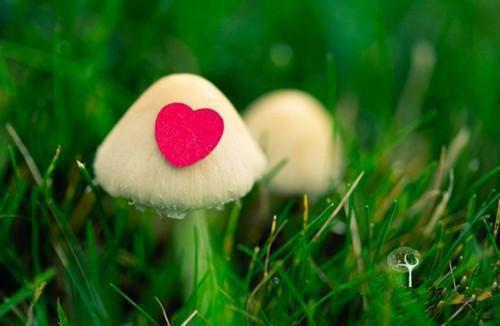 朱元璋故事：中国历最节俭的皇帝
