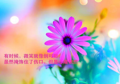 （书荒必看）知青腰软撩人，三天被糙汉宠成宝许甜甜：+后续热血十足