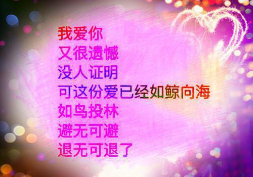 温柔港(辛舟靳成言)小说全集在线下载_章节前文+后续（温柔港）