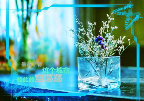 软件工程求职信3篇